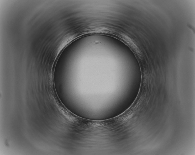 X0000096631234200802191149