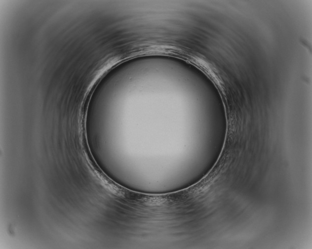 X0000096631235200802191149