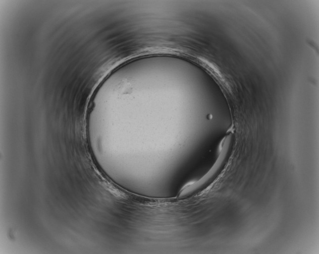 X0000096631236200802191149