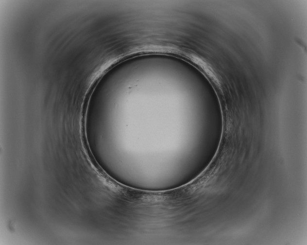 X0000096631237200802191149