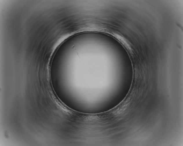 X0000096631238200802191149