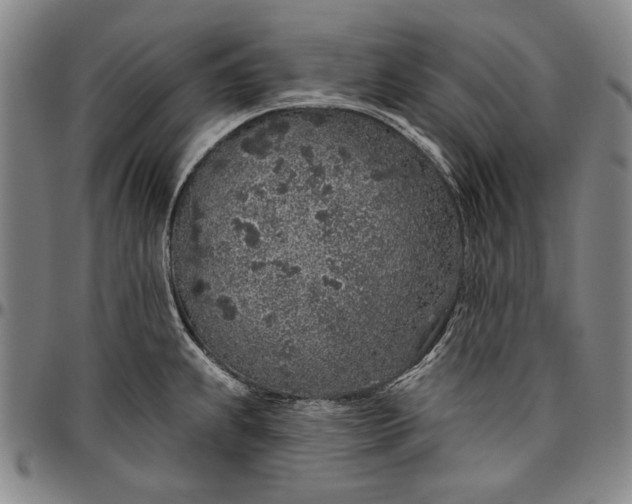 X0000096631239200802191149