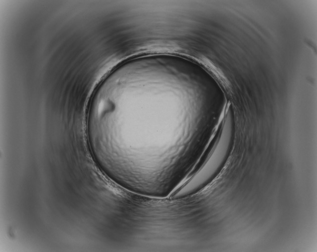 X0000096631240200802191149