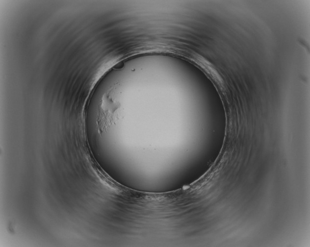 X0000096631242200802191149