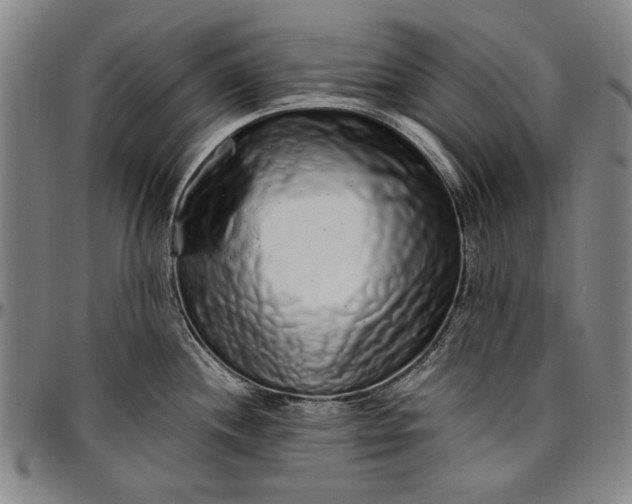 X0000096631244200802191149