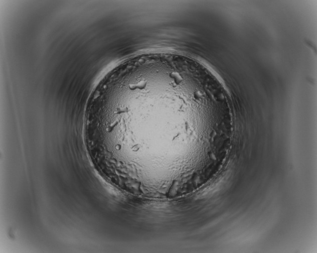X0000096631245200802191149