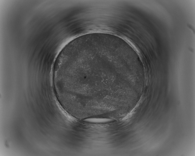 X0000096631246200802191149