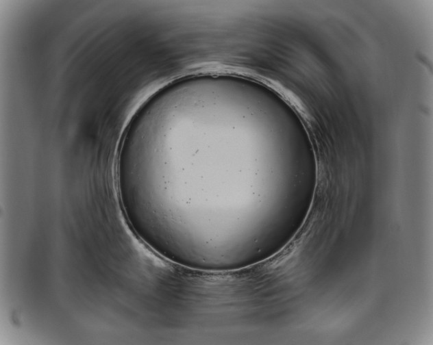 X0000096631247200802191149