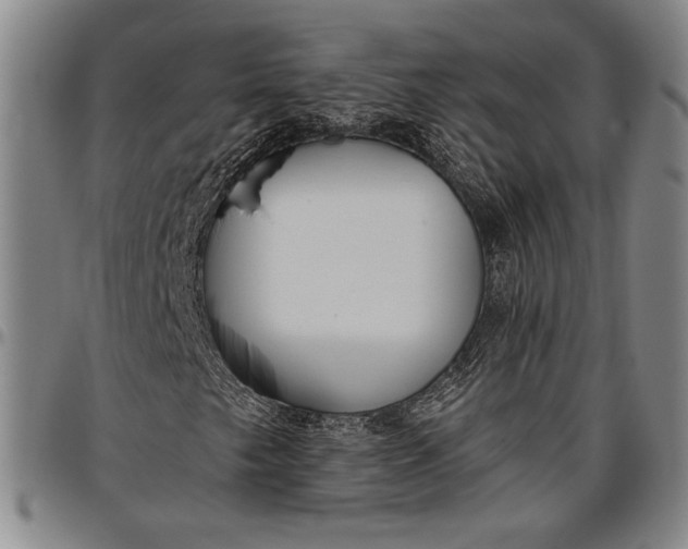 X0000096631249200802191148