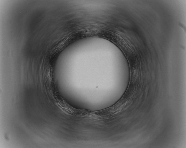 X0000096631250200802191148