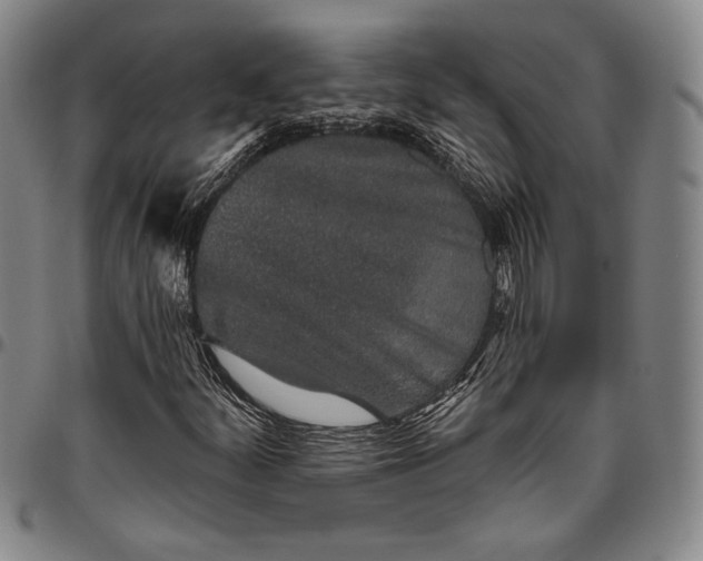 X0000096631252200802191148