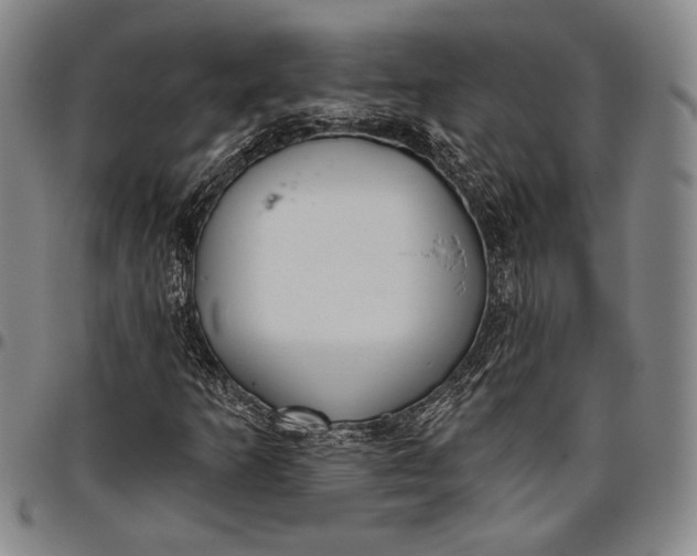 X0000096631253200802191148