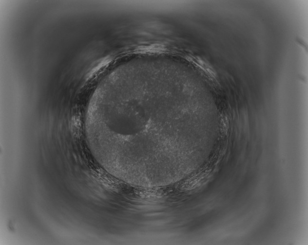 X0000096631254200802191148