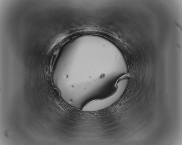 X0000096631255200802191148