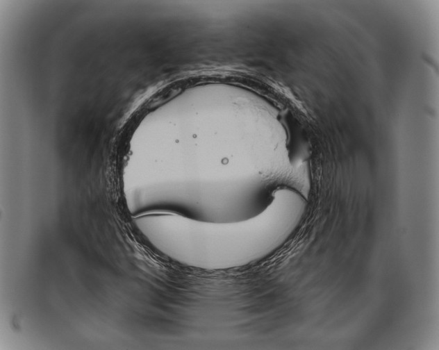 X0000096631256200802191148