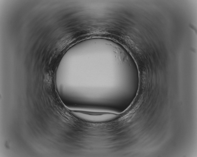 X0000096631257200802191148