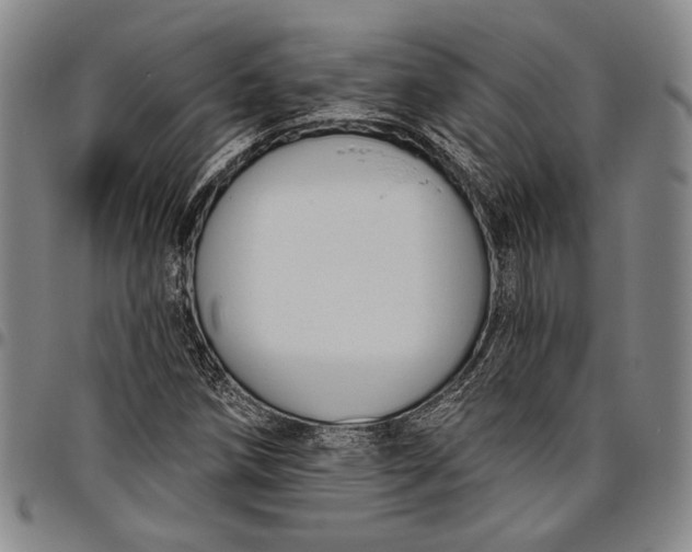 X0000096631258200802191148