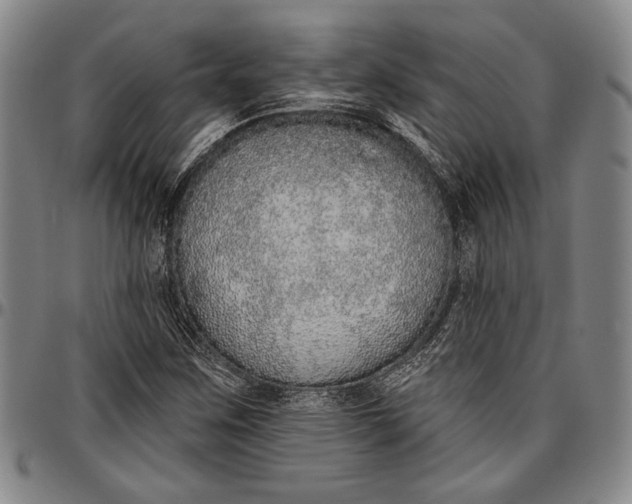X0000096631259200802191148