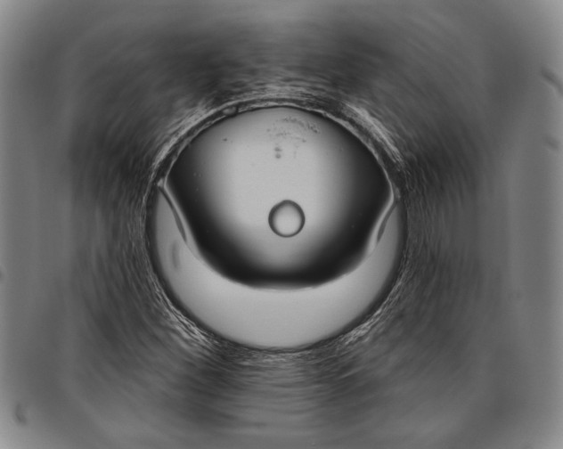 X0000096631260200802191148