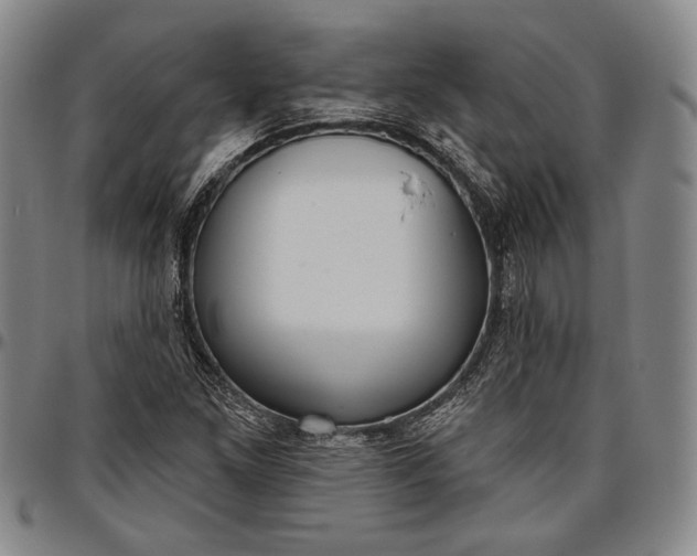X0000096631261200802191148