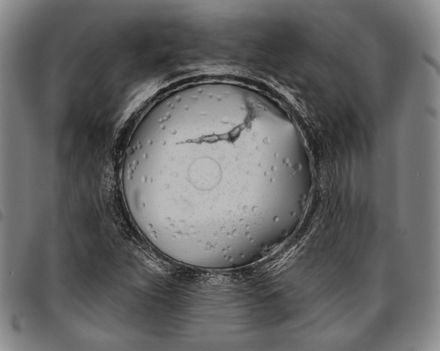 X0000096631263200802191148