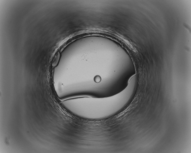 X0000096631264200802191148