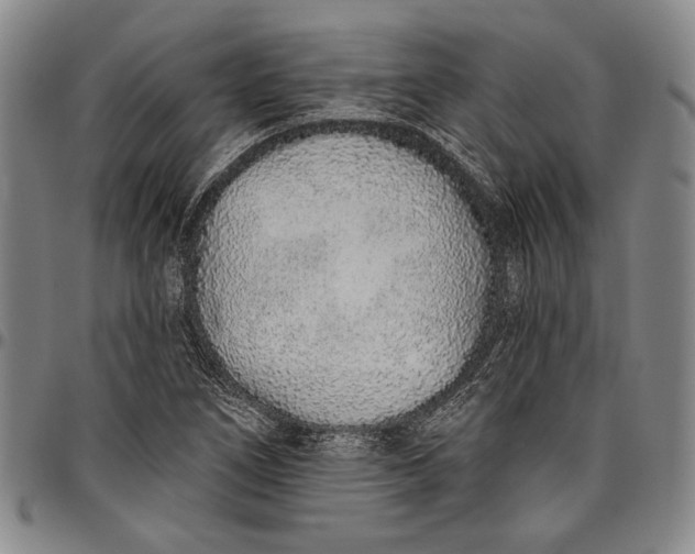 X0000096631266200802191148