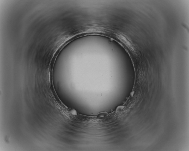 X0000096631268200802191148