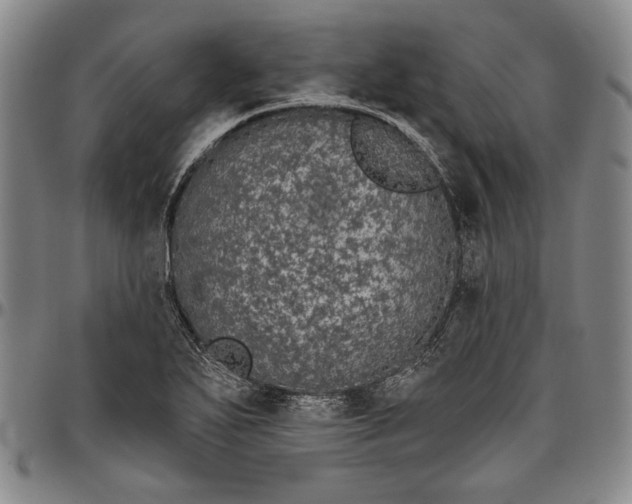 X0000096631271200802191148