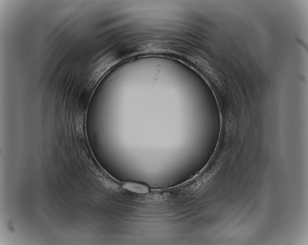 X0000096631273200802191148