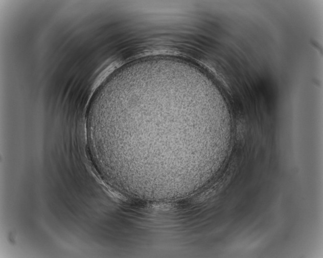 X0000096631274200802191148