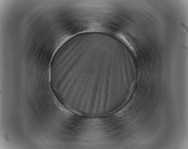 X0000096631276200802191148