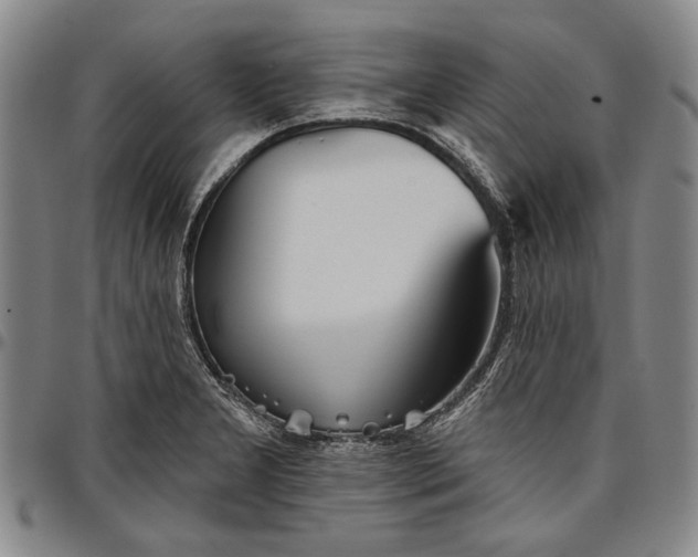 X0000096631277200802191148