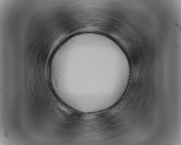 X0000096631278200802191148