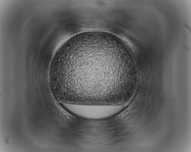 X0000096631279200802191148