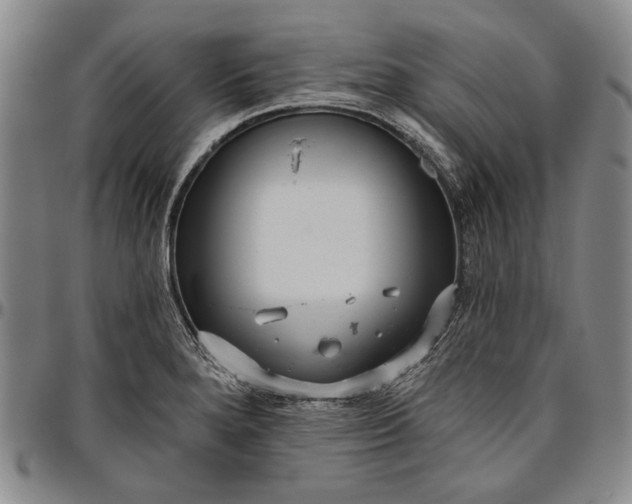X0000096631280200802191148