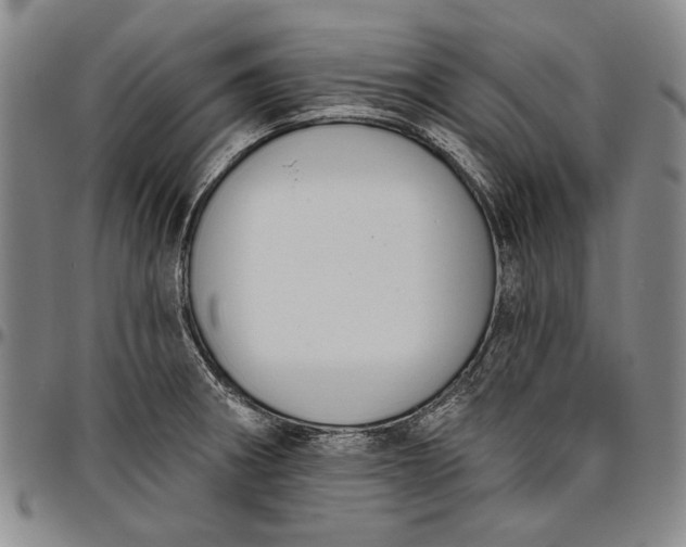 X0000096631282200802191148