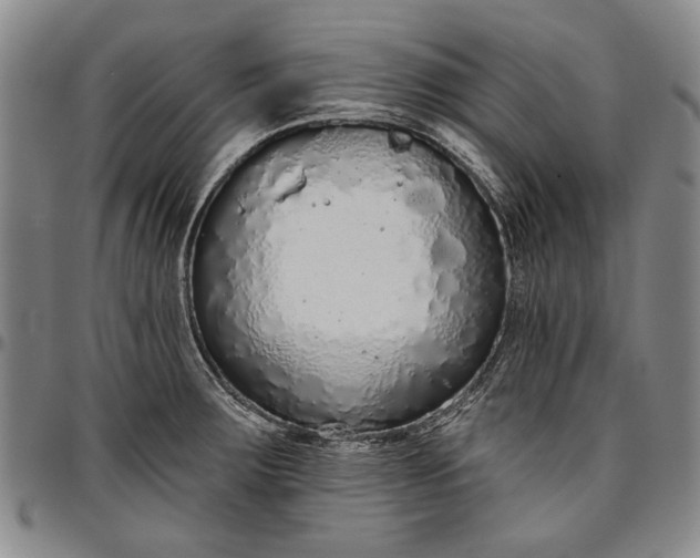 X0000096631283200802191148