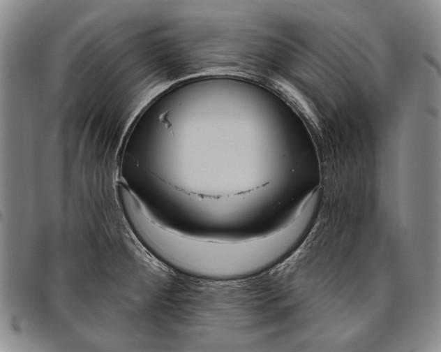 X0000096631284200802191148