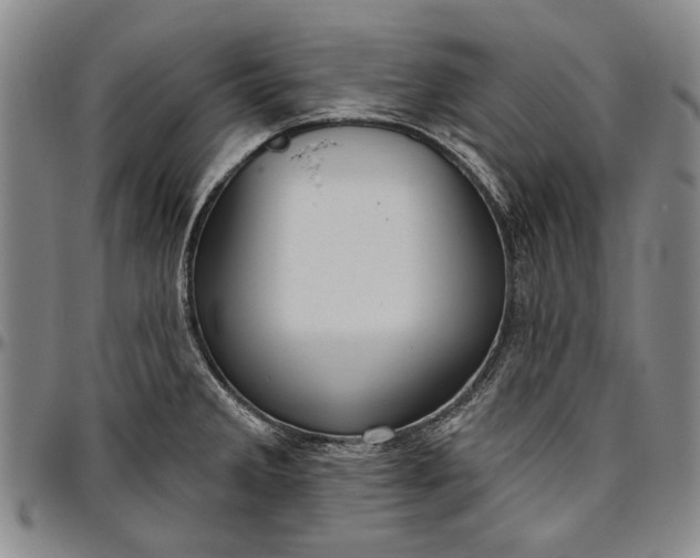 X0000096631285200802191148