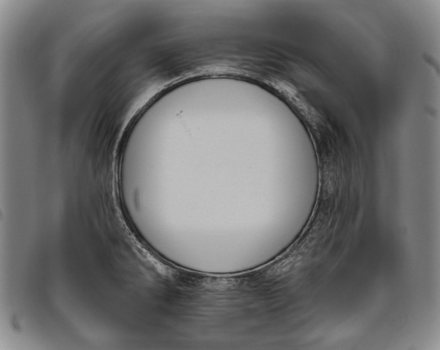 X0000096631286200802191148