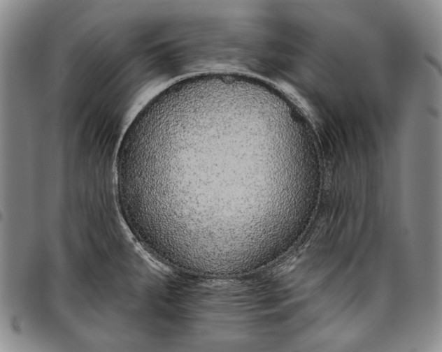 X0000096631287200802191148