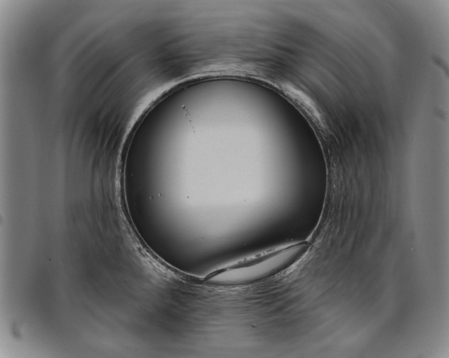 X0000096631288200802191148
