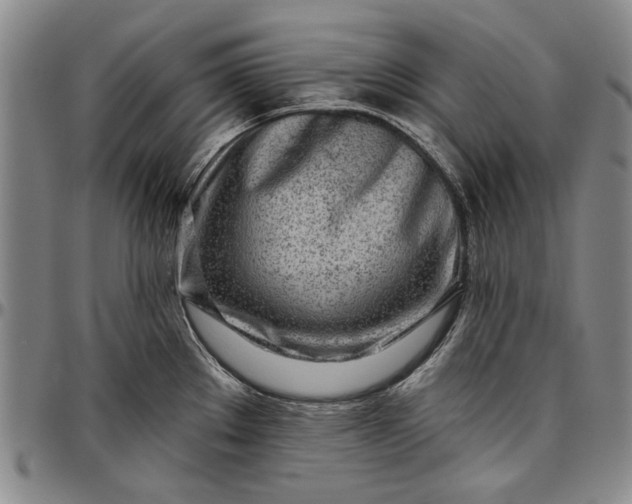 X0000096631289200802191148