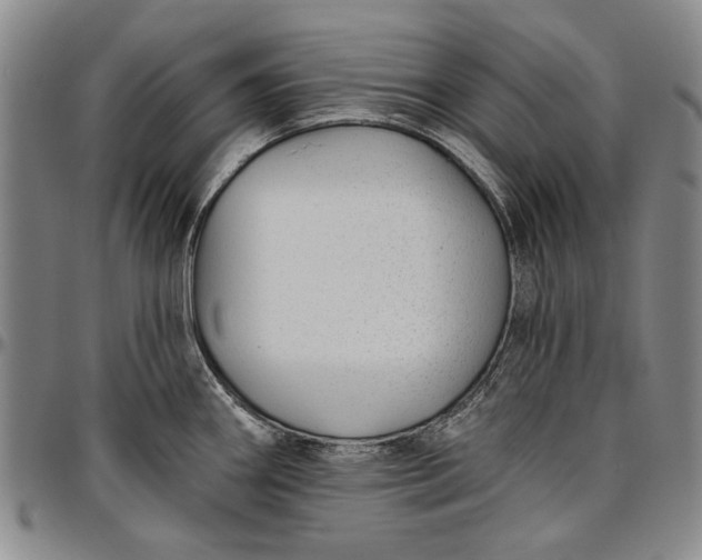 X0000096631290200802191148