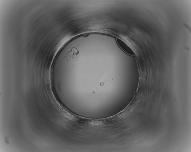 X0000096631291200802191148