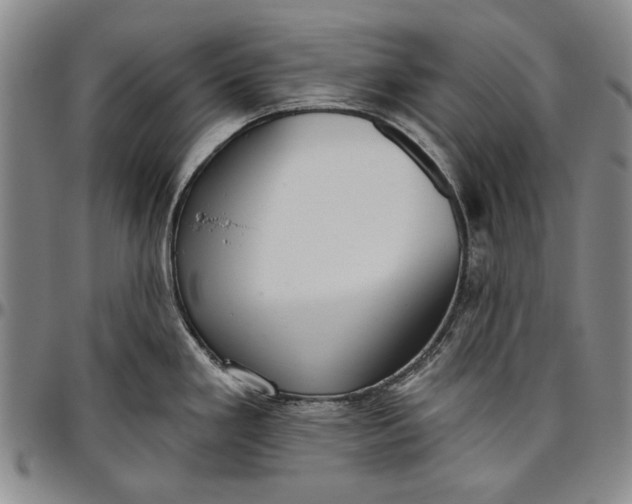 X0000096631293200802191148