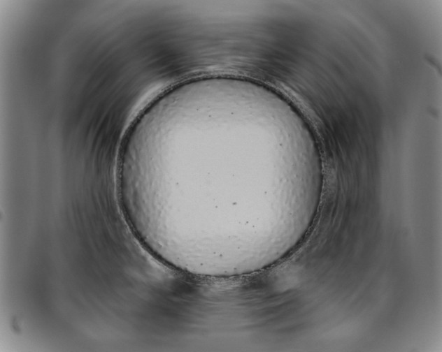 X0000096631294200802191148