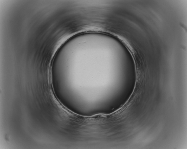 X0000096631295200802191148