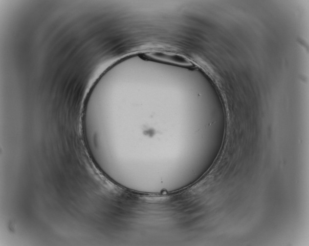 X0000096631296200802191148